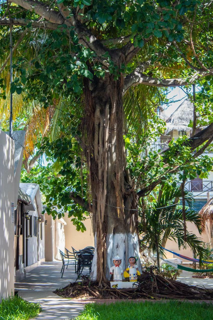 Popol Vuh (Adults Only) Hotell Playa del Carmen Exteriör bild